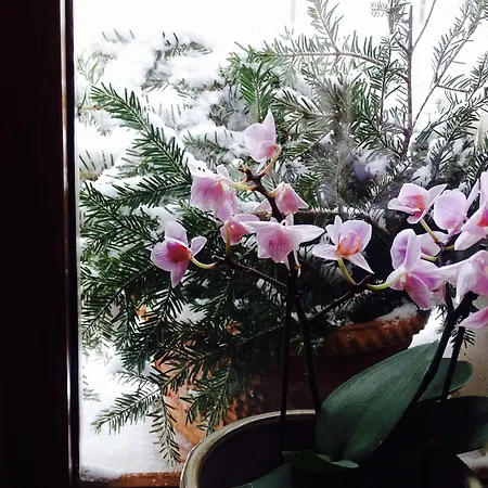 호텔 Archi Del Sole & San Rocco