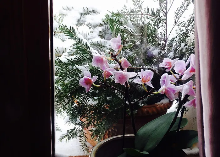 호텔 Archi Del Sole & San Rocco